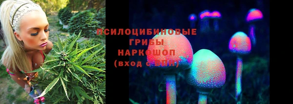 мескалин Новодвинск