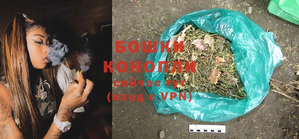 PSILOCYBIN Аша