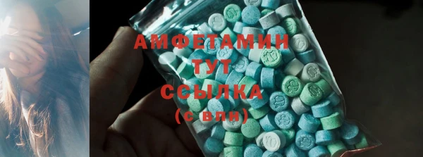 PSILOCYBIN Аша
