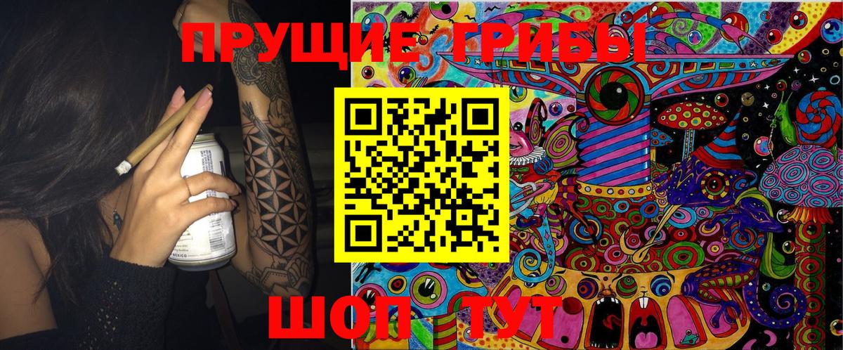 Псилоцибиновые грибы Cubensis  Вход с VPN  Апшеронск 