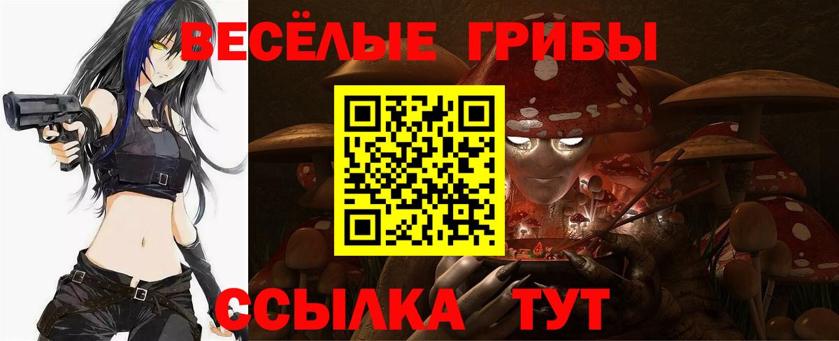 Псилоцибиновые грибы Magic Shrooms Апшеронск